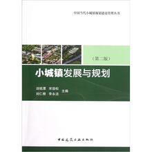 小城镇发展与规划（第2版）