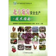 农产品安全生产技术丛书：北方葡萄安全生产技术指南