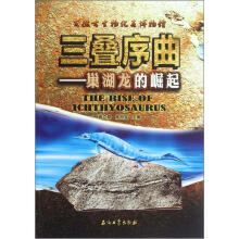 三叠序曲：巢湖龙的崛起