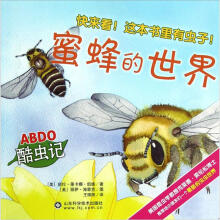 ABDO酷虫记：蜜蜂的世界