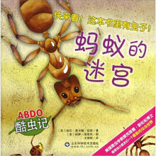 ABDO酷虫记：蚂蚁的迷宫