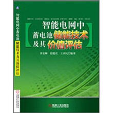 智能电网中蓄电池储能技术及其价值评估