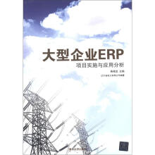 大型企业ERP项目实施与应用分析