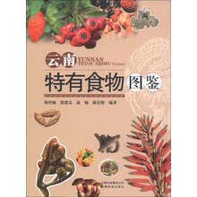 云南特有食物图鉴