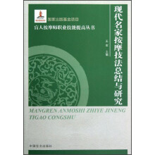 按摩师职业技能提高丛书：现代名家按摩技法总结与研究（大字本）