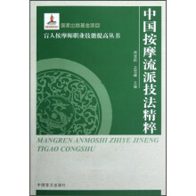 盲人按摩师职业技能提高丛书：中国按摩流派技法精萃（大字本）
