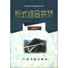 中国现代公路桥梁技术丛书：桁式组合拱桥（拱桥类）