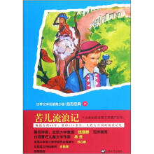 青少版世界名著：苦儿流浪记