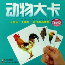 动物大卡（2009）（双语版）