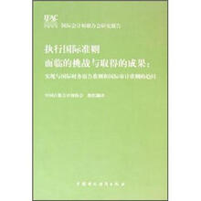 执行国际准则面临的挑战与取得的成果：实现与国际财务报告准则和国际审计准则的趋同