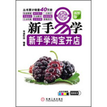 新手易学·新手学淘宝开店