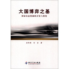 大国博弈之基：国家信息资源的开发与利用