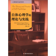 心理咨询与治疗系列：自体心理学的理论与实践