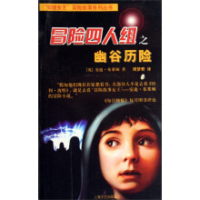 “安迪女王”冒险故事系列丛书：冒险四人组之幽谷历险