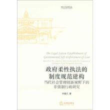 哈工大法学文丛：政府柔性执法的制度规范建构·当代社会管理创新视野下的非强制行政研究