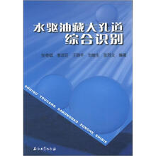 水驱油藏大孔道综合识别
