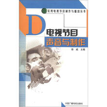 实用电视节目制作与播出丛书：电视节目声音与制作
