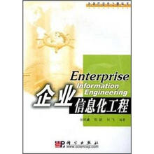 企业信息化工程