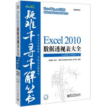 Excel疑难千寻千解丛书:Excel 2010数据透视表大全(附CD光盘1张)