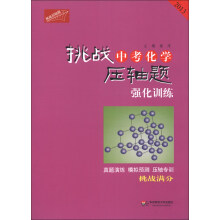 挑战中考化学压轴题:强化训练(2013)