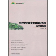 农村文化建设中政府作用：以中部为例