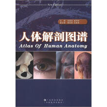 人体解剖图谱