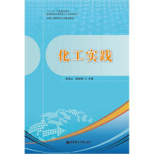 卓越工程师培养计划规划教材·高等院校应用型化工人才培养丛书:化工实践