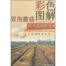 彩色图解双孢蘑菇田间栽培新技术