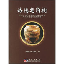 洛阳皂角树:1992-1993年洛阳皂角树二里头文化聚落遗址发掘报告