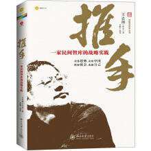 推手:一家民间智库的战略实践