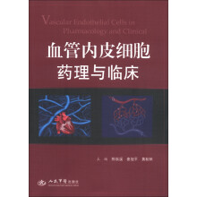 血管内皮细胞药理与临床