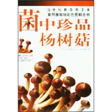 菌中珍品：杨树菇