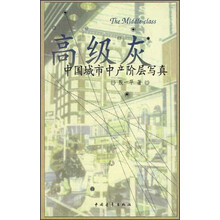 高级灰：中国城市中产阶层写真