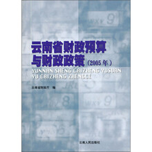 云南省财政预算与财政政策（2005年）