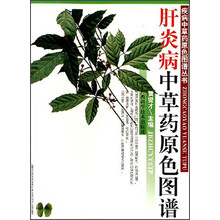 肝炎病中草药原色图谱