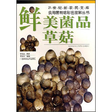 鲜美菌品：草菇