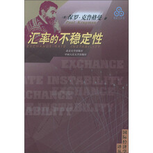 汇率的不稳定性