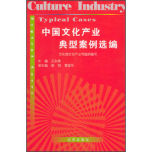 中国文化产业典型案例选编