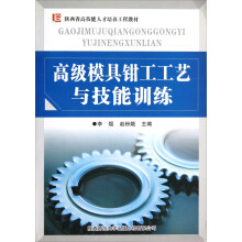 陕西省高技能人才培养工程教材：高级模具钳工工艺与技能训练