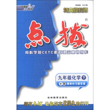 荣德基初中系列·特高级教师点拨:9年级化学(下)(R版)