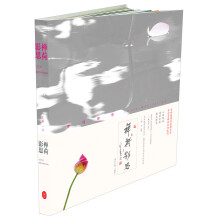 禅荷影思