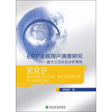 ERP系统用户满意研究：基于三元交互分析框架