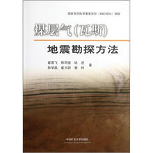 煤层气（瓦斯）：地震勘探方法