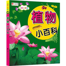 儿童小百科：植物小百科