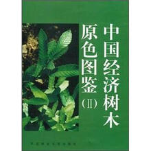中国经济树木原色图鉴（Ⅱ）（精）