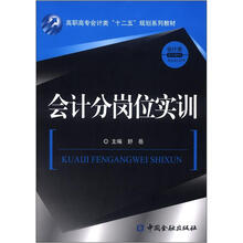 会计分岗位实训