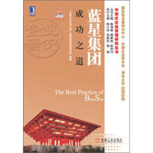 蓝星集团成功之道