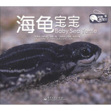 海龟宝宝/动物萌宝贝