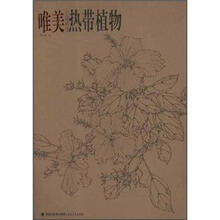 唯美白描精选：热带植物