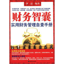 财务智囊：实用财务管理自查手册
